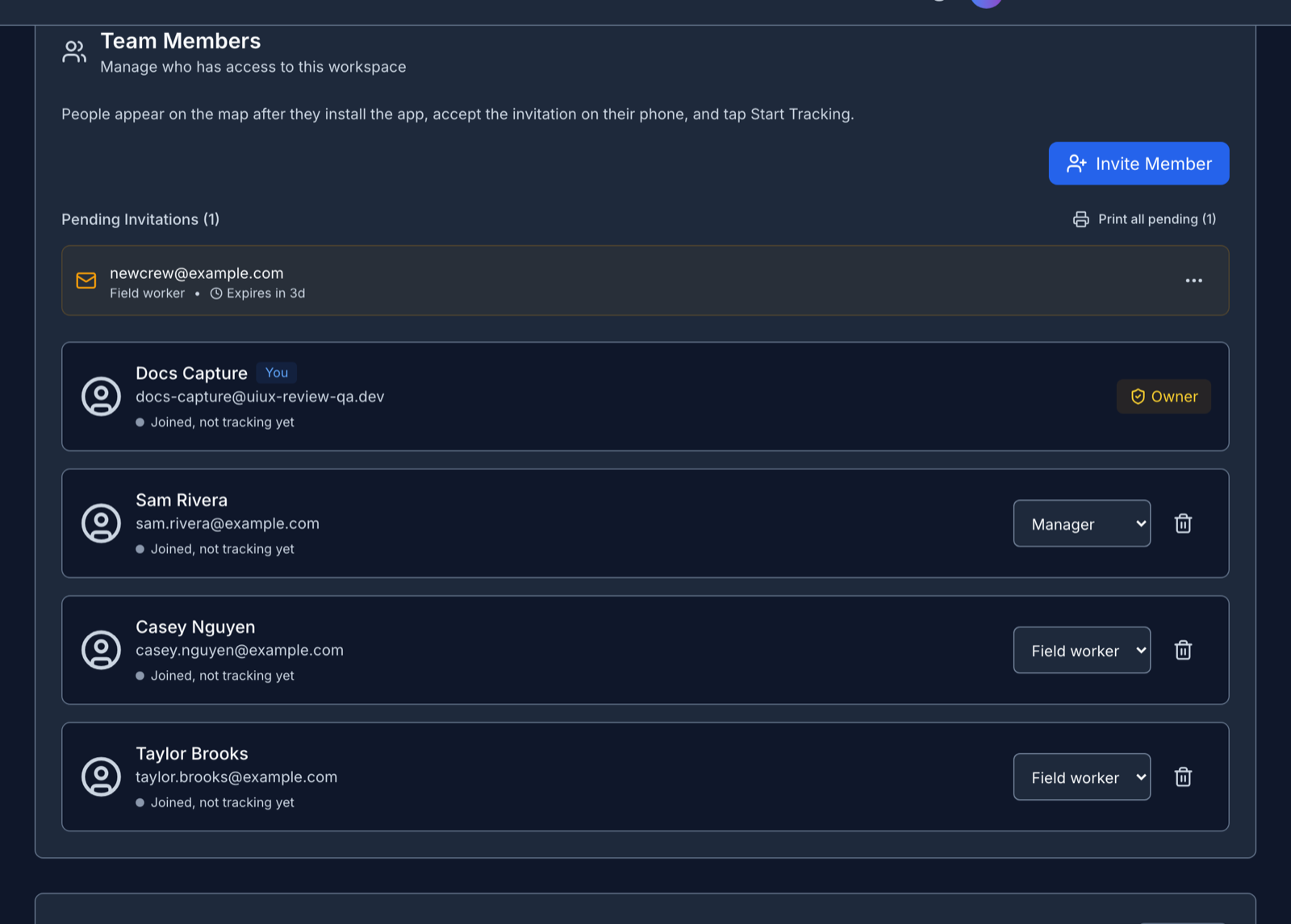 The Team Members list, with the tracking status of each member and a pending invitation below it